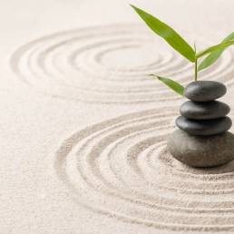 Blue Monday: immagine di giardino zen